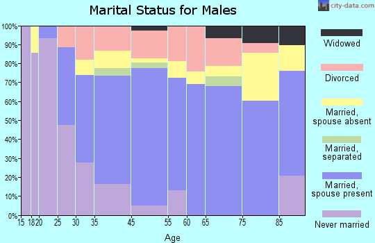 South Haven marital status for males