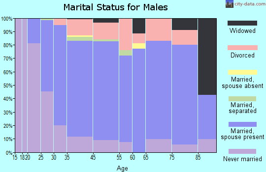 South Lyon marital status for males