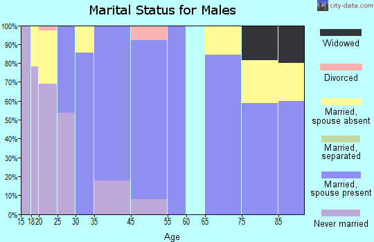 Spring Arbor marital status for males