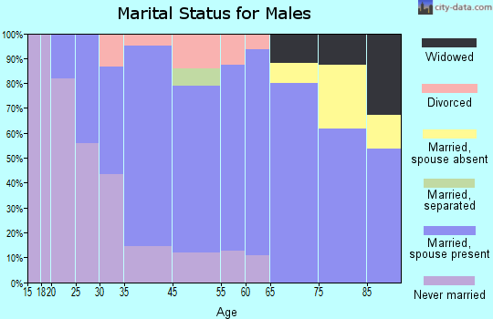Spring Lake marital status for males