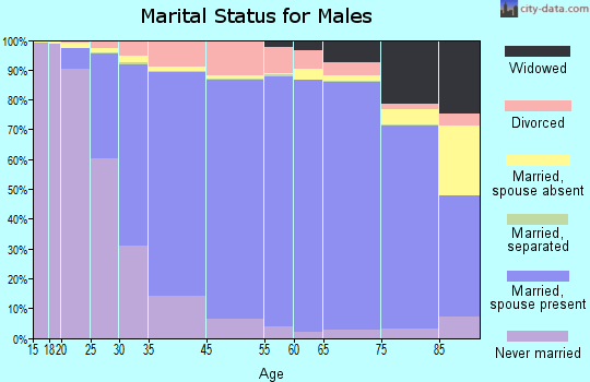 Sterling Heights marital status for males