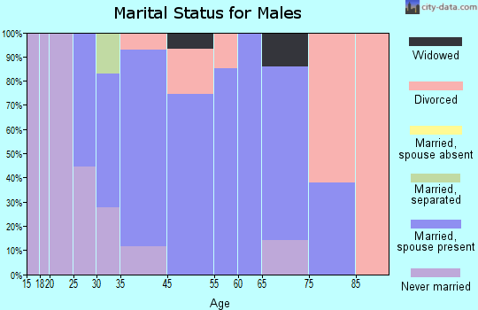 Stony Point marital status for males