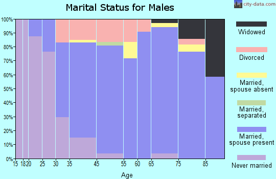 Swartz Creek marital status for males