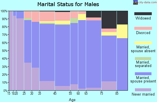 Tecumseh marital status for males
