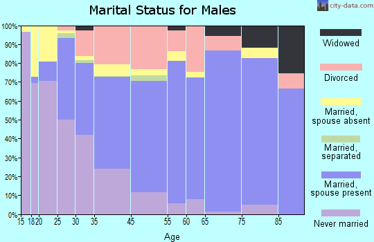 Traverse City marital status for males