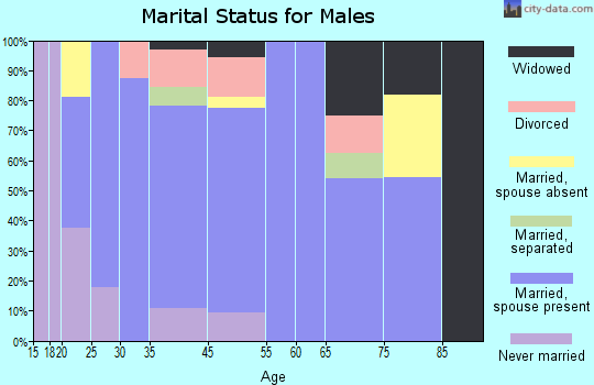 Vermontville marital status for males