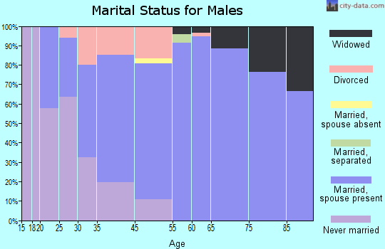 Village of Lake Isabella marital status for males