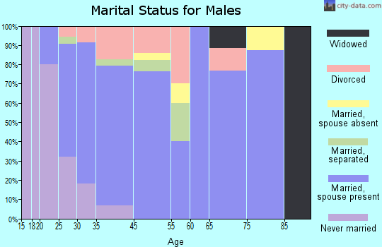 Webberville marital status for males