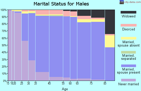 West Bloomfield Township marital status for males