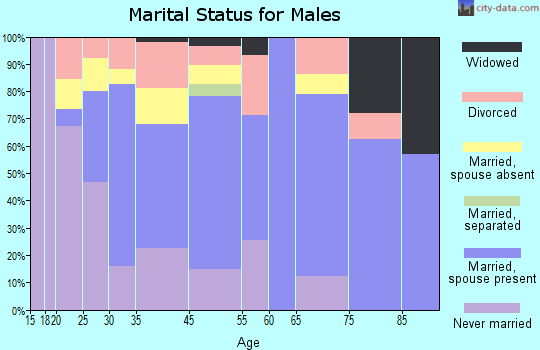 West Branch marital status for males