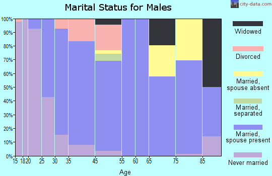 West Ishpeming marital status for males