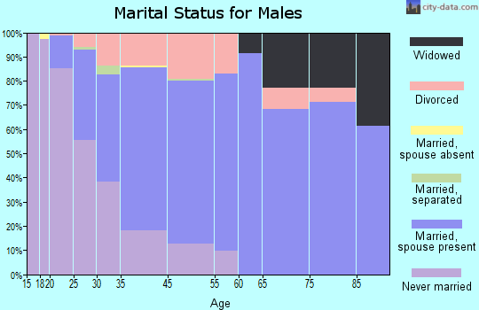 Wixom marital status for males