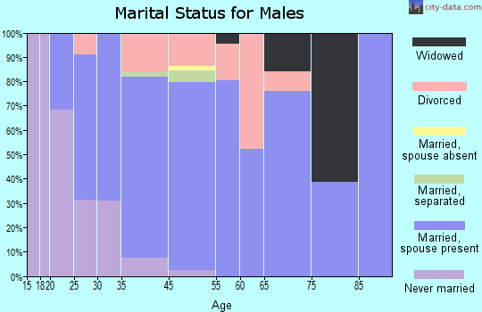 Wolf Lake marital status for males