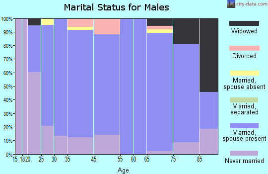 Zeeland marital status for males