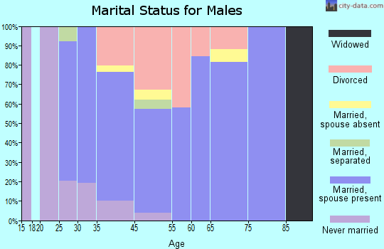 Whetstone marital status for males