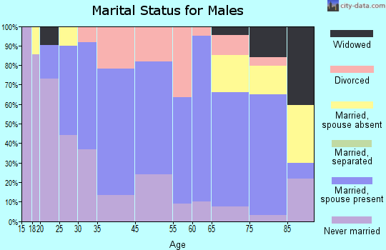 Aitkin marital status for males