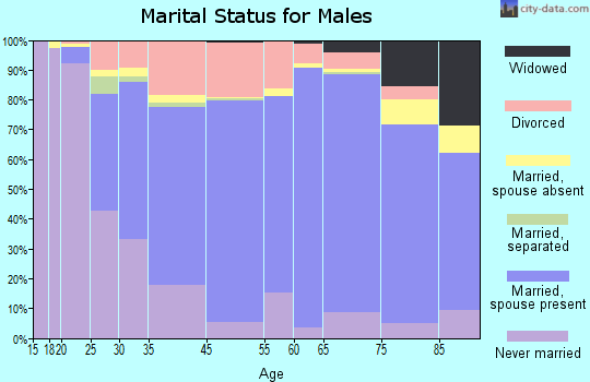 Albert Lea marital status for males