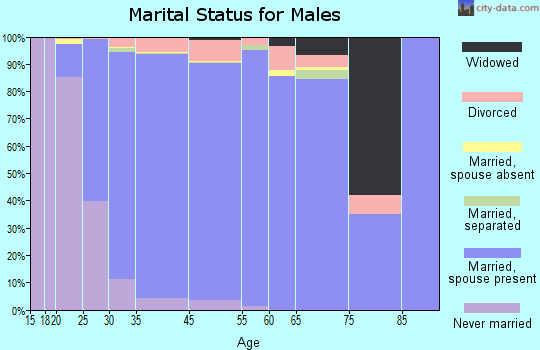 Andover marital status for males