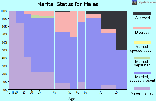 Annandale marital status for males