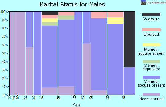 Argyle marital status for males