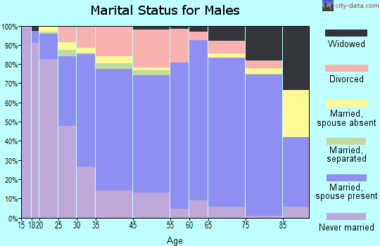 Austin marital status for males