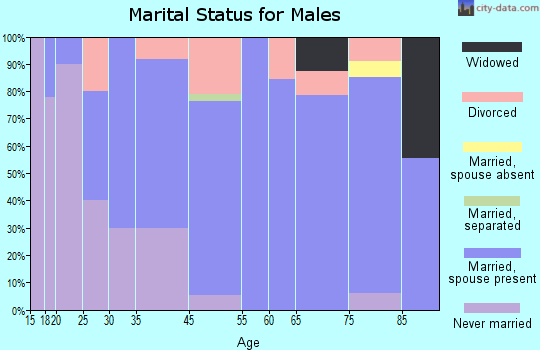 Battle Lake marital status for males