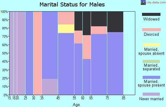 Beardsley marital status for males