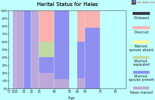 Beaver Bay marital status for males