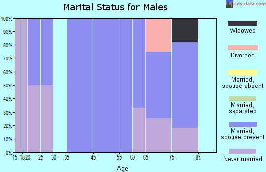 Beaver Creek marital status for males