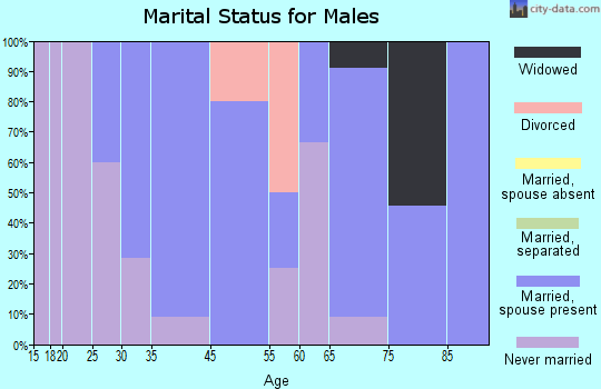 Bellingham marital status for males