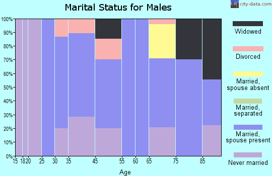 Belview marital status for males