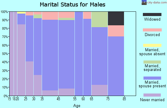 Big Lake marital status for males