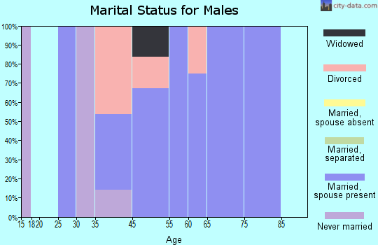 Willow Valley marital status for males