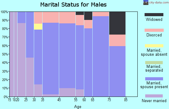Birchwood Village marital status for males