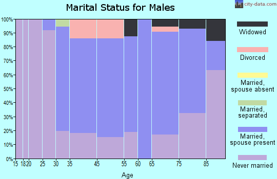 Bird Island marital status for males