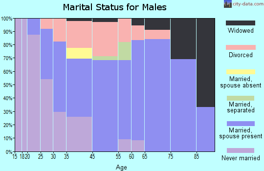 Biwabik marital status for males
