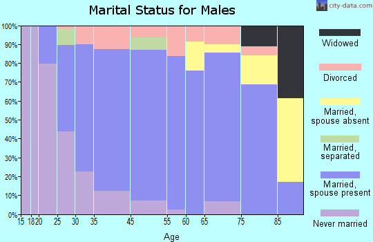 Blue Earth marital status for males