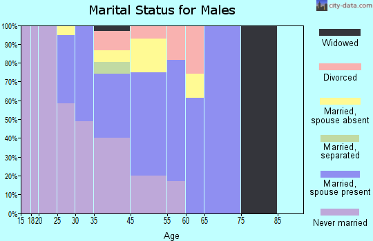 Window Rock marital status for males