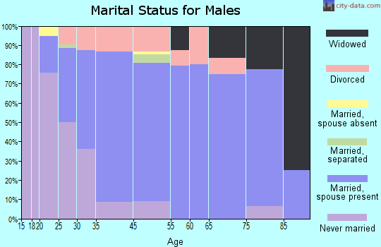 Braham marital status for males