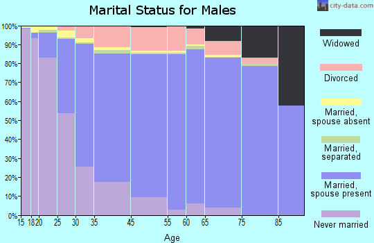 Brooklyn Park marital status for males