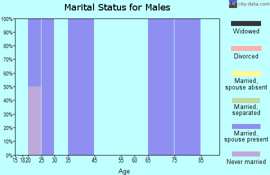 Brookston marital status for males