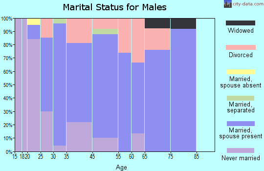 Browerville marital status for males