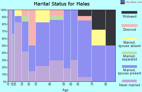 Browns Valley marital status for males