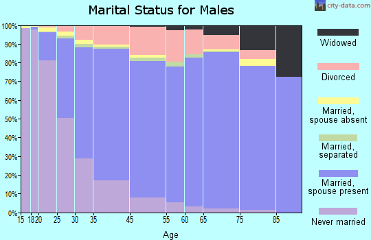 Burnsville marital status for males