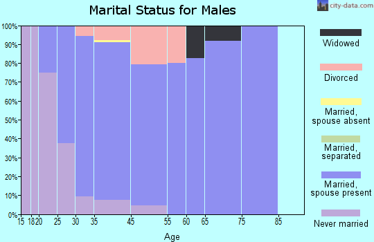 Centerville marital status for males