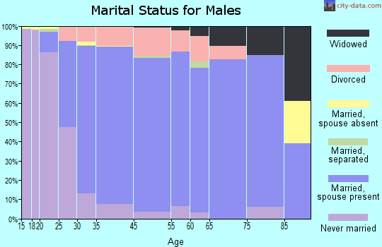 Champlin marital status for males