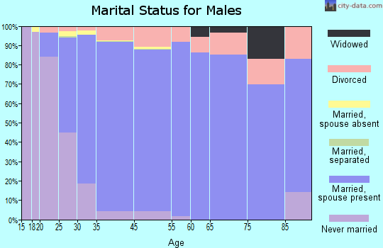 Chanhassen marital status for males