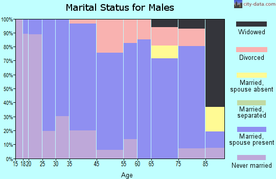 Chisago City marital status for males