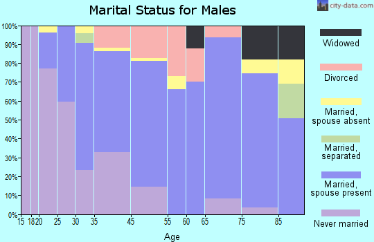 Chisholm marital status for males