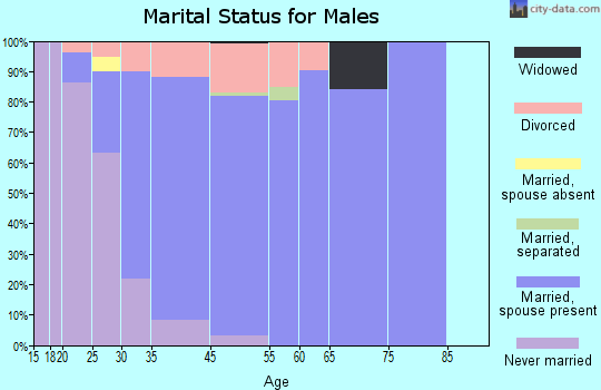 Circle Pines marital status for males